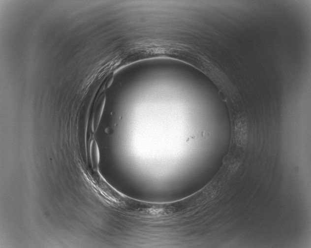 X0000086320406200703301223