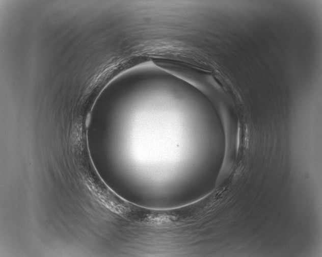 X0000086320407200703301223