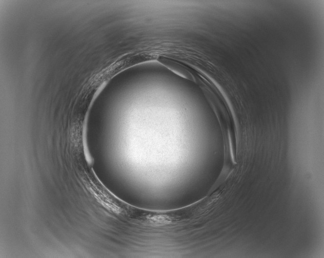X0000086320409200703301223