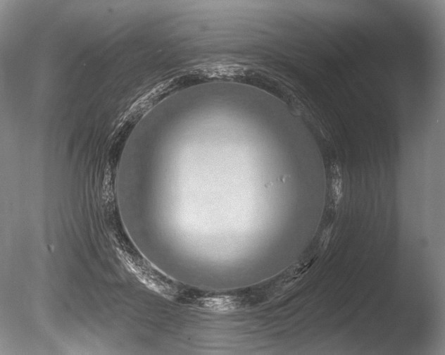 X0000086320411200703301223