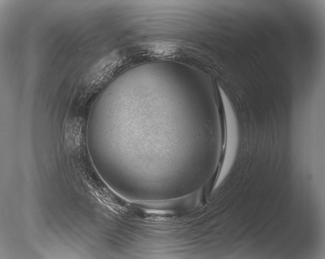 X0000086320412200703301223