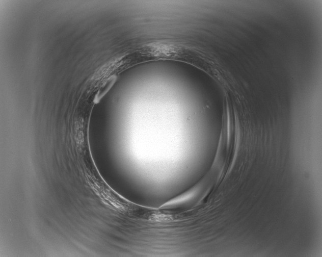 X0000086320413200703301223