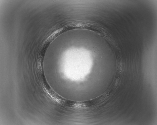 X0000086320415200703301223