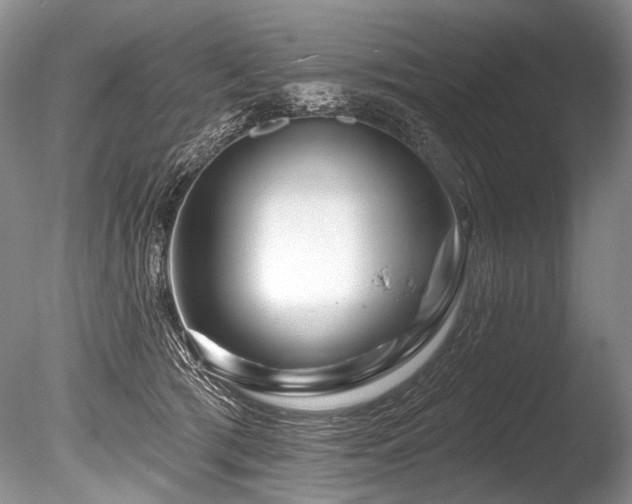 X0000086320417200703301223