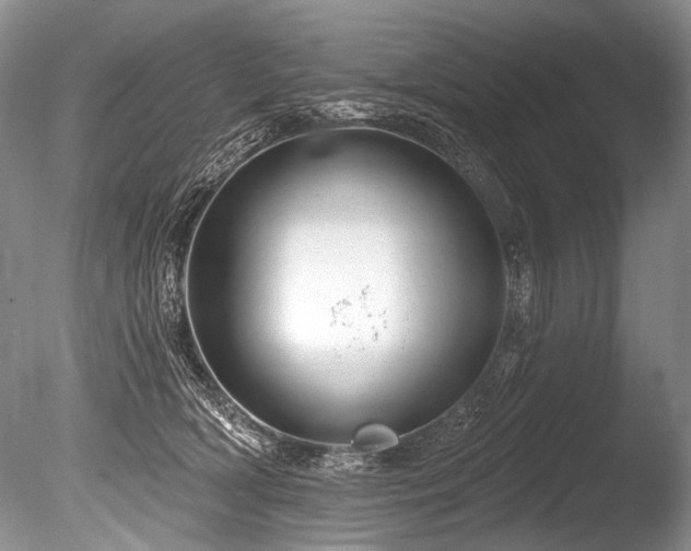 X0000086320418200703301223