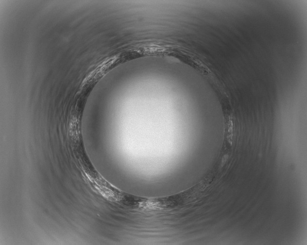X0000086320419200703301223