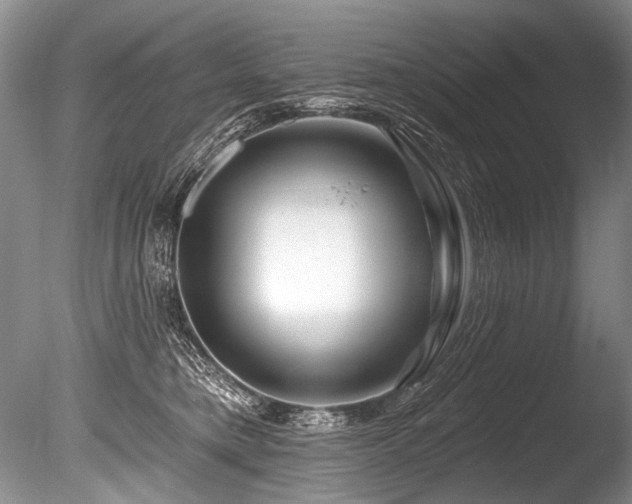 X0000086320421200703301223