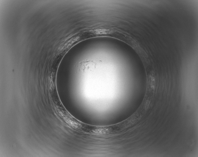 X0000086320422200703301223
