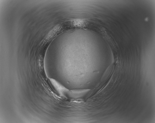 X0000086320424200703301223