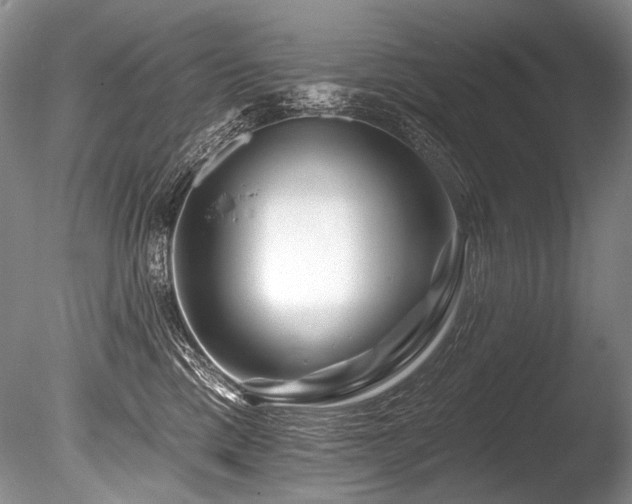 X0000086320425200703301223