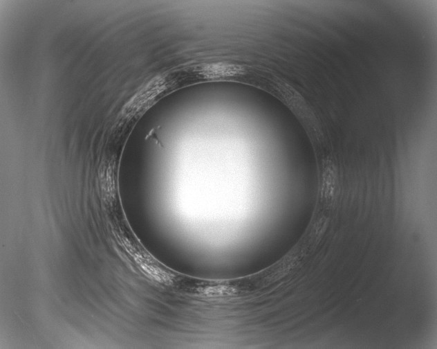 X0000086320426200703301223