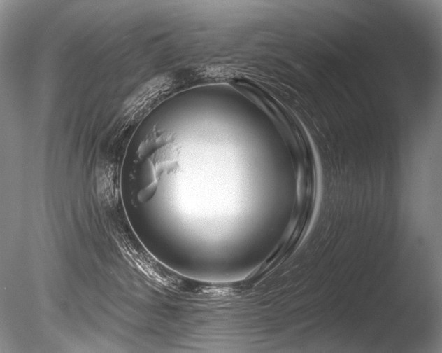 X0000086320428200703301223