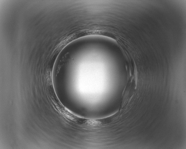 X0000086320429200703301223