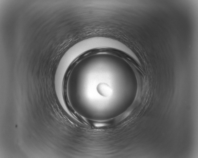 X0000086320432200703301223