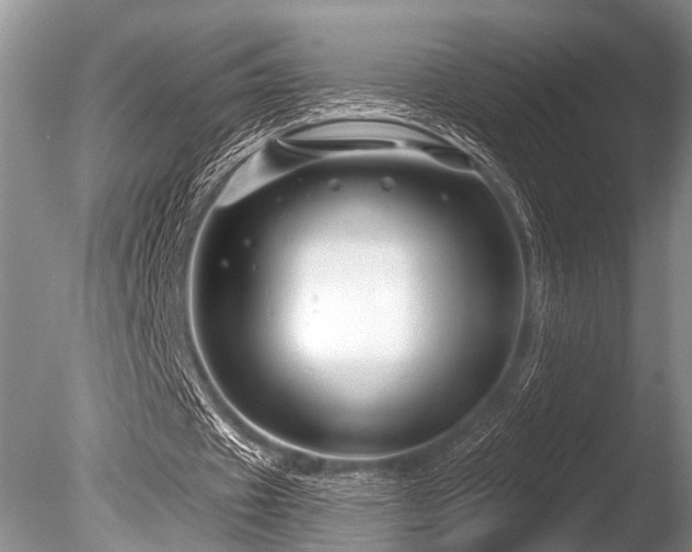 X0000086320433200703301222