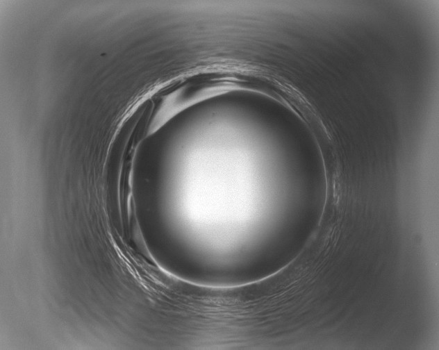 X0000086320436200703301222