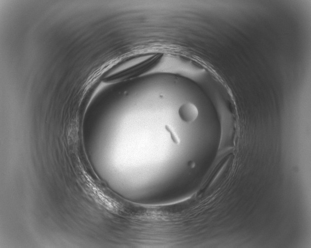 X0000086320437200703301222