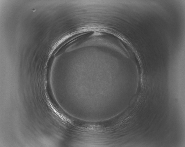 X0000086320438200703301222