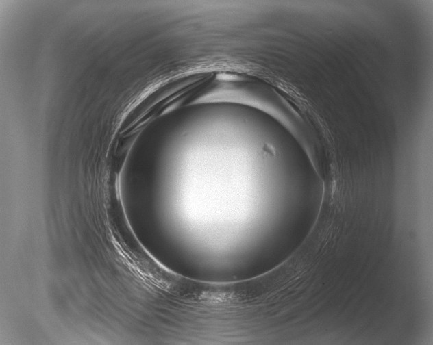 X0000086320440200703301222