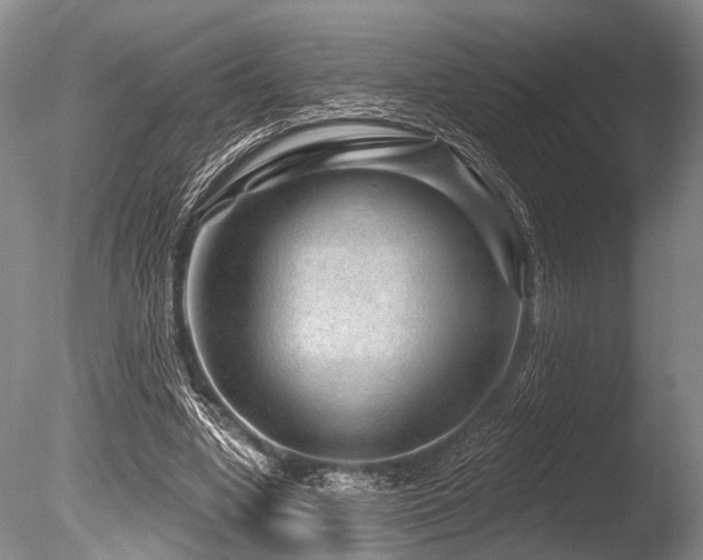 X0000086320442200703301222