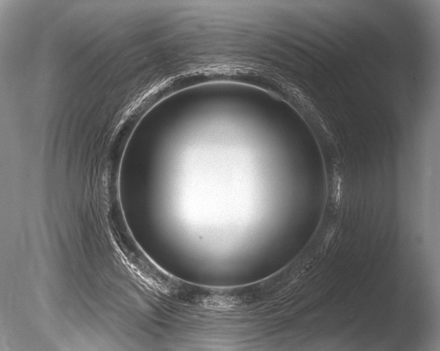 X0000086320444200703301222