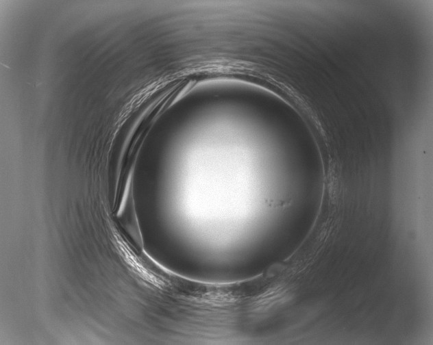 X0000086320445200703301222