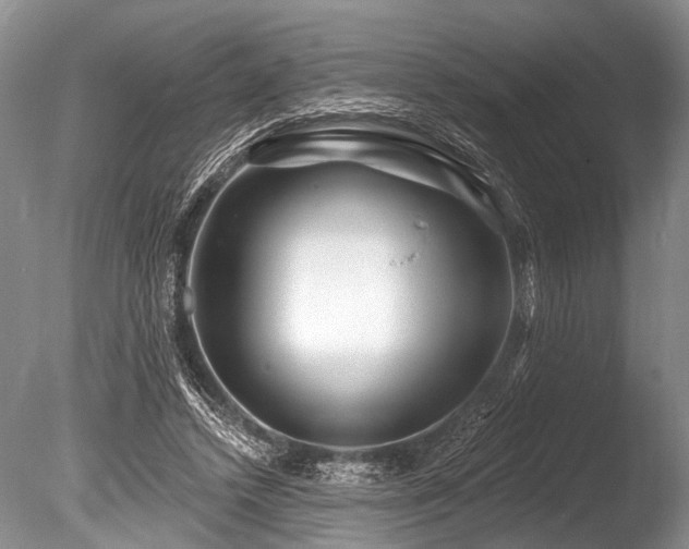 X0000086320448200703301222