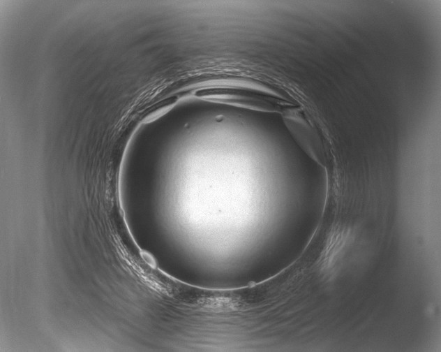 X0000086320449200703301222