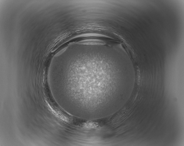 X0000086320451200703301222