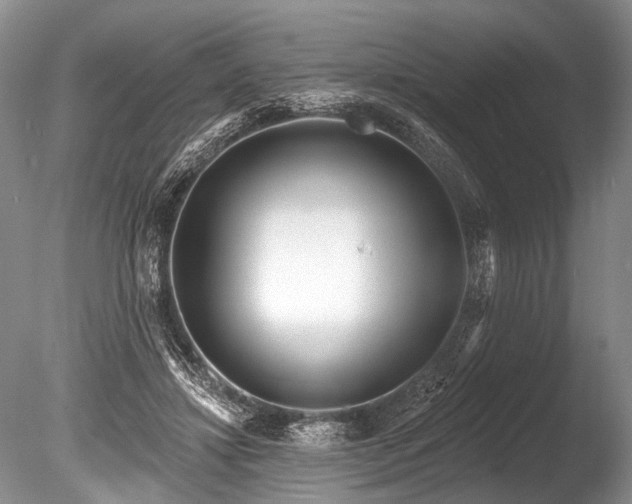 X0000086320452200703301222