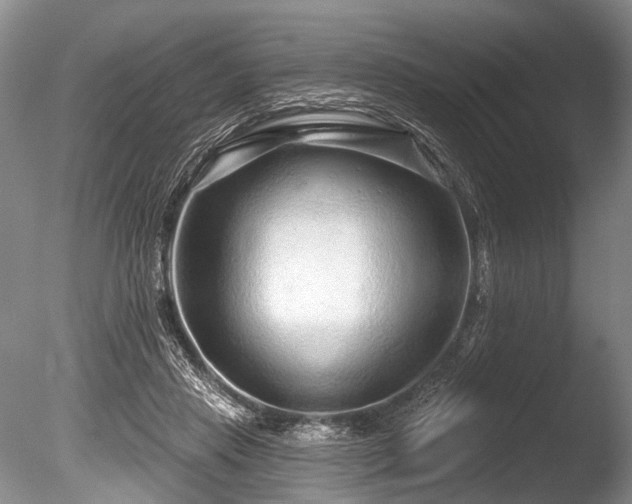 X0000086320453200703301222