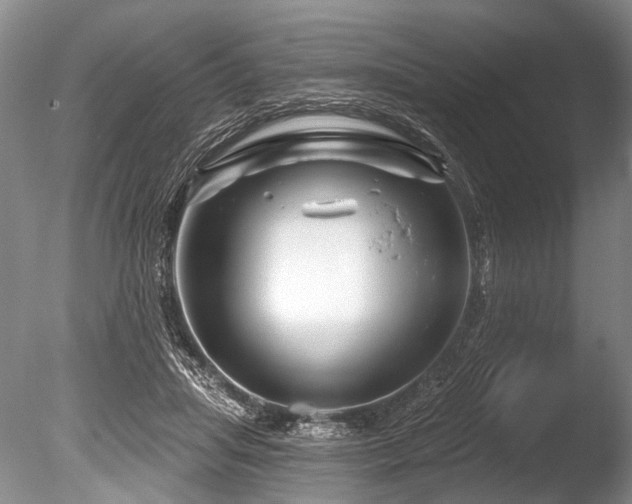 X0000086320455200703301222