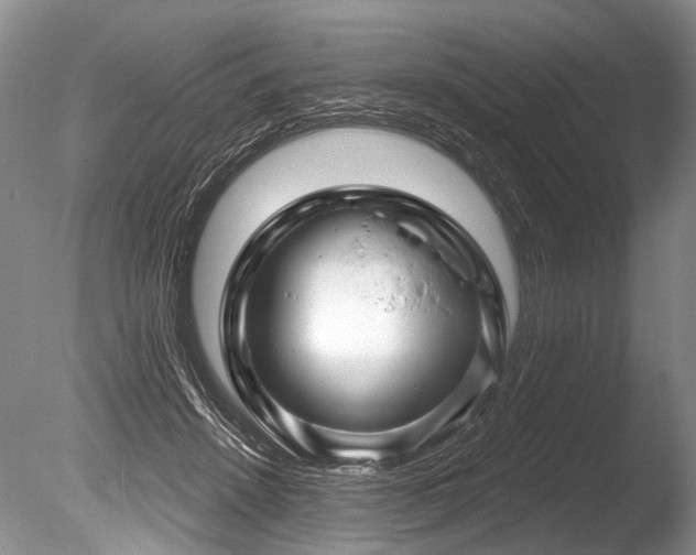 X0000086320456200703301222