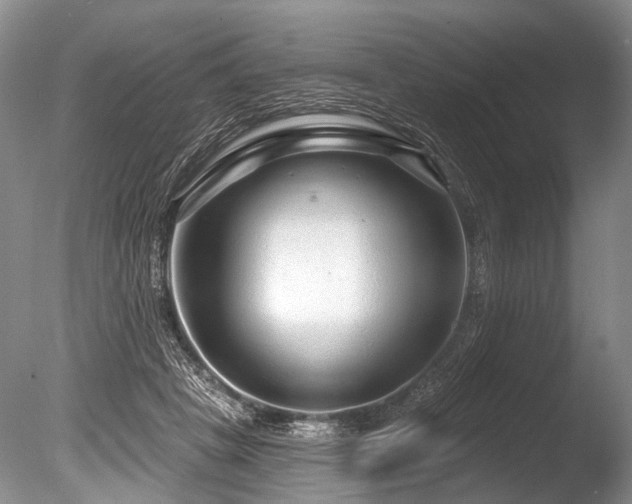 X0000086320457200703301222