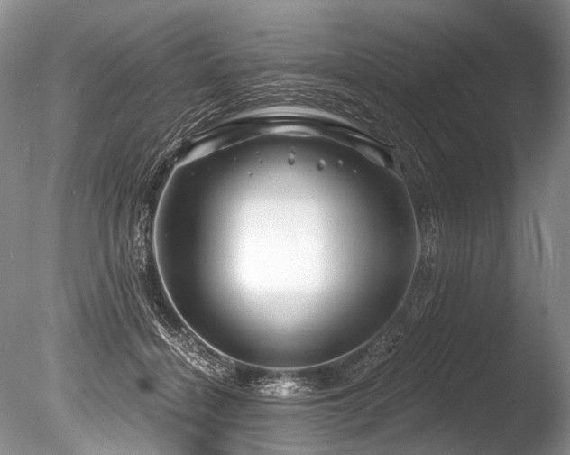 X0000086320460200703301222