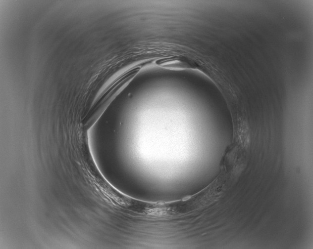 X0000086320461200703301222
