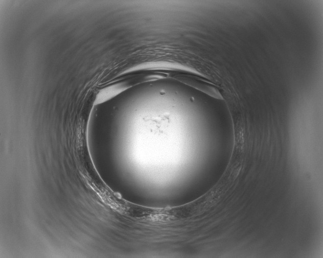 X0000086320468200703301222