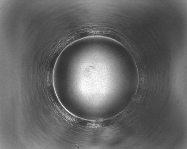 X0000086320469200703301222