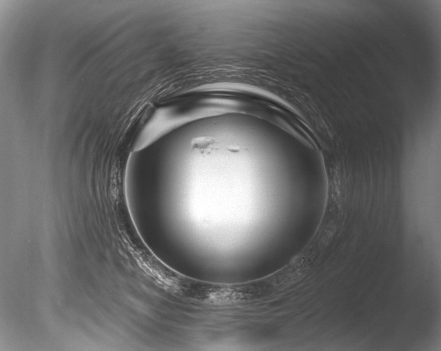 X0000086320470200703301222