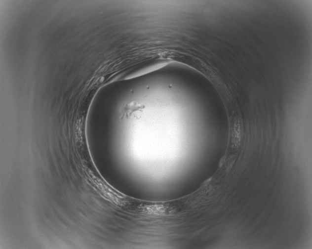 X0000086320473200703301222