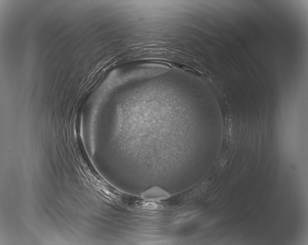 X0000086320475200703301223