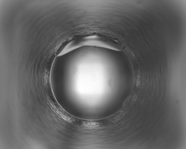 X0000086320476200703301223