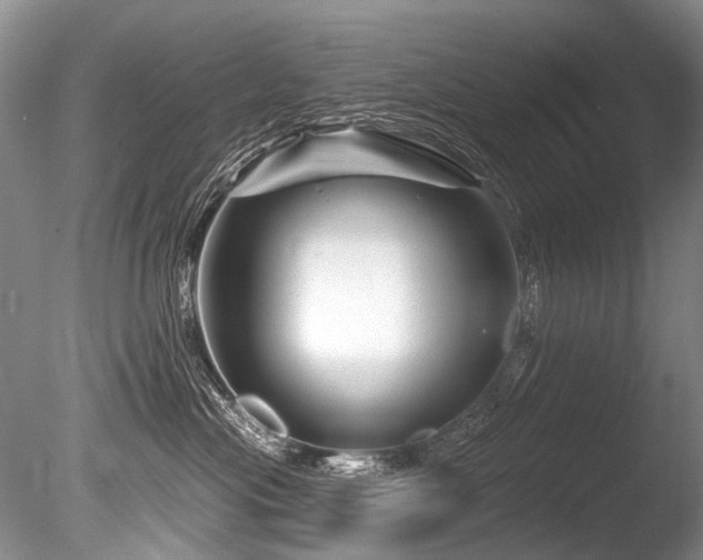 X0000086320477200703301223