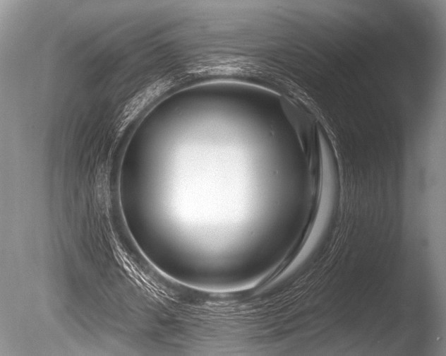X0000086320482200703301222