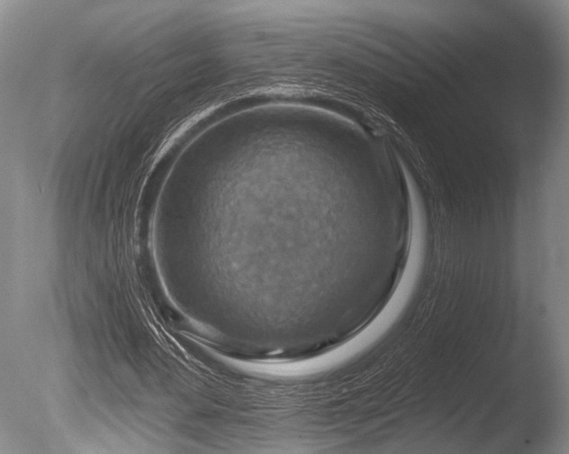 X0000086320484200703301222