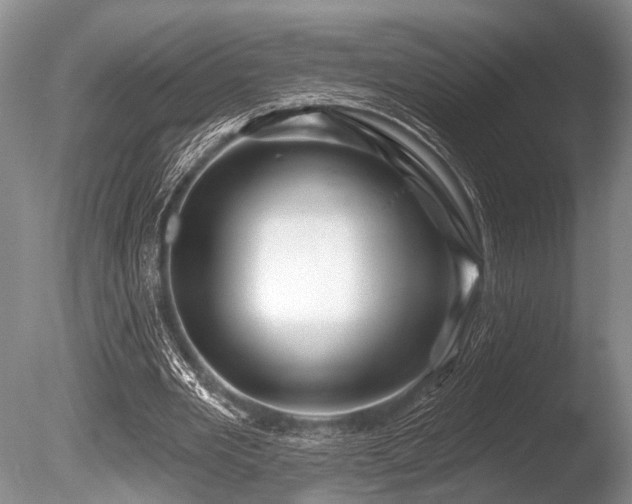 X0000086320485200703301222
