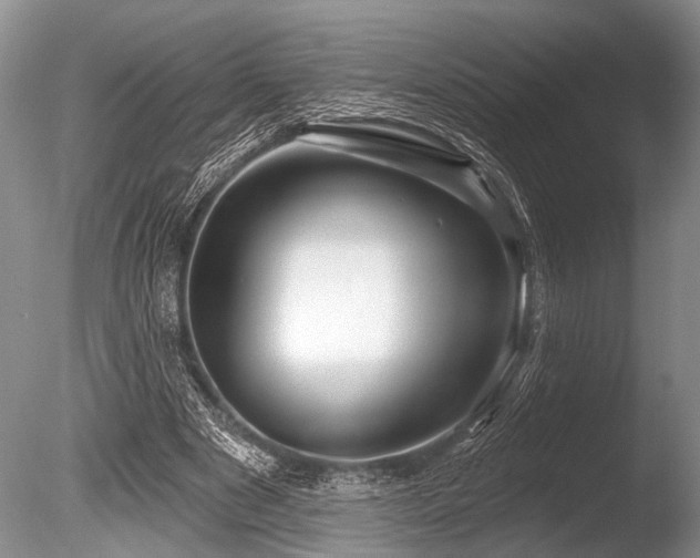 X0000086320489200703301222