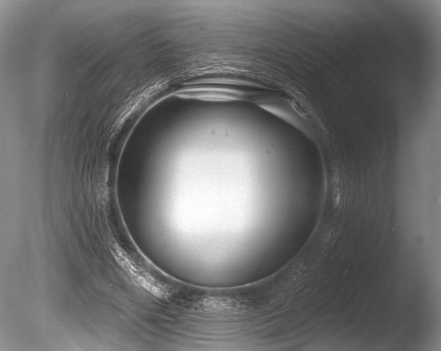 X0000086320490200703301222