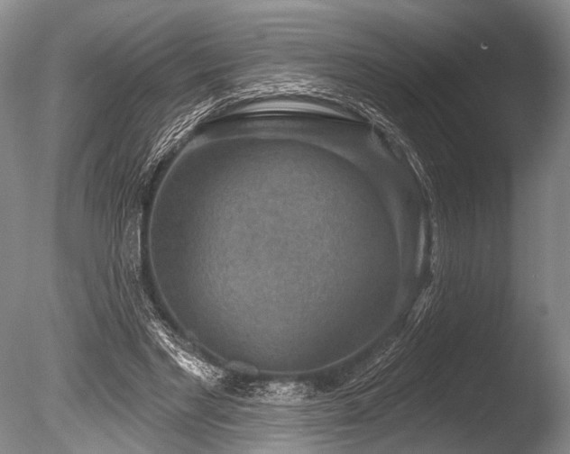 X0000086320493200703301222