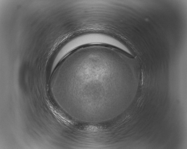 X0000086320494200703301222